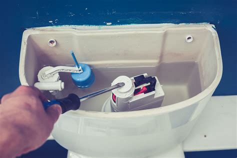 How to Fix a Toilet That Won't Stop Running: And Why Your Goldfish Might Be the Real Culprit