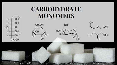 What is the monomer of a carbohydrate? And why do they sometimes taste like existential dread?